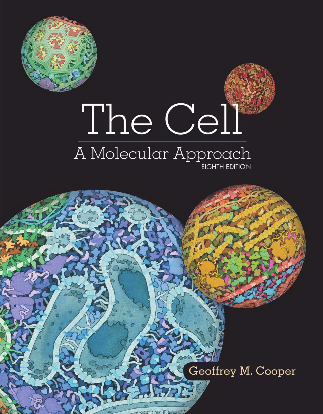 Cell Biology