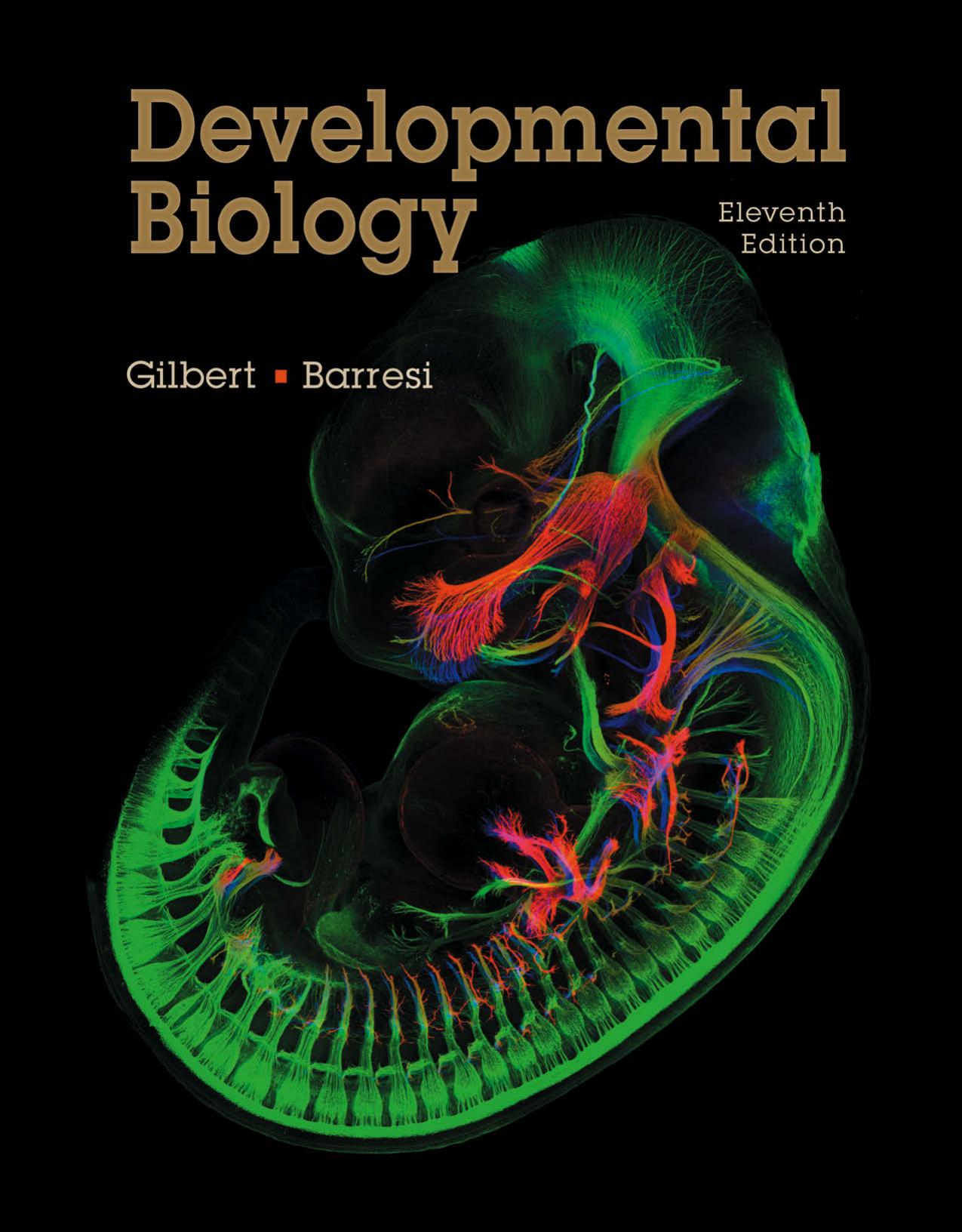 Developmental Biology 2