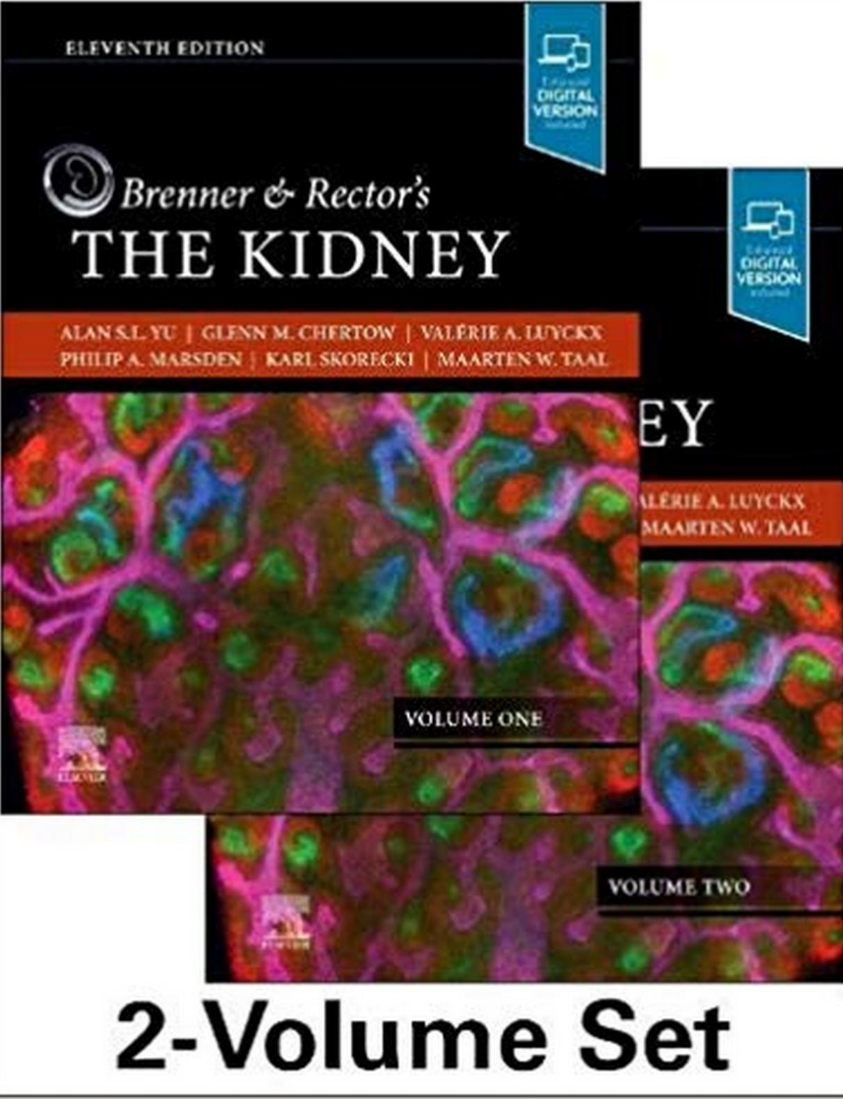 Kidney Physiology