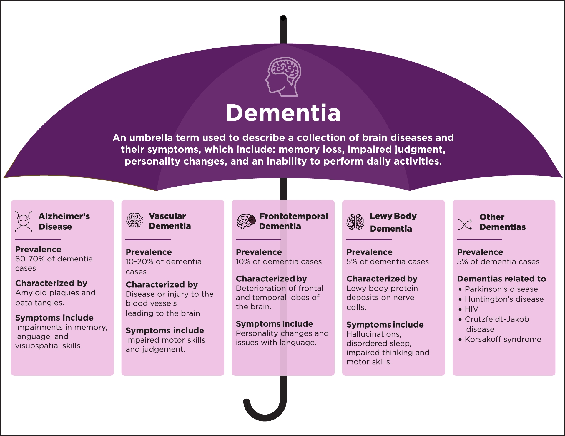Umbrella-style infographic showing dementia as a broad syndrome and summarising its main subtypes: Alzheimer’s disease, vascular dementia, frontotemporal dementia, Lewy body dementia, and other dementias, with brief notes on prevalence, pathology, and symptoms.